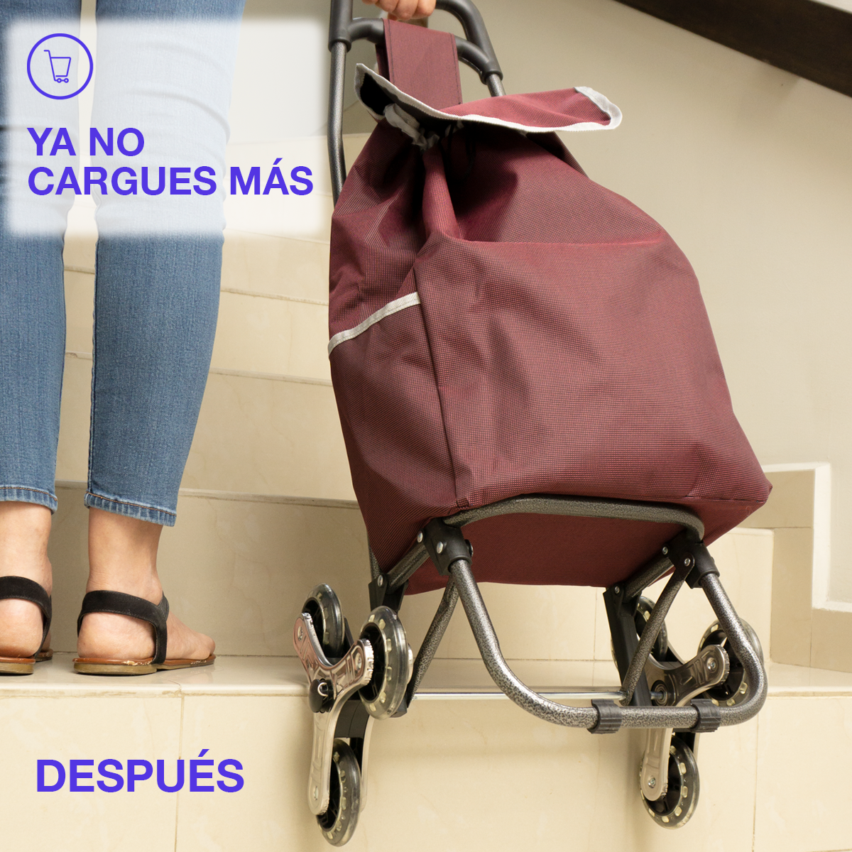 Carrito de Compras Resistente de 6 Ruedas para Escaleras