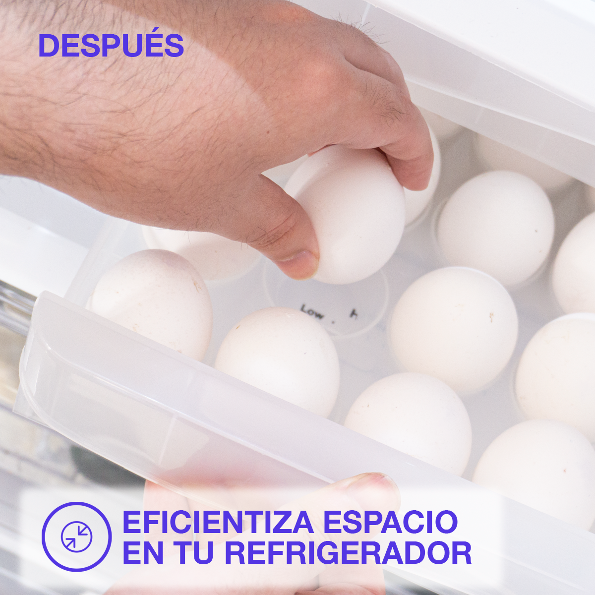 Doble Caja Protectora de Huevos