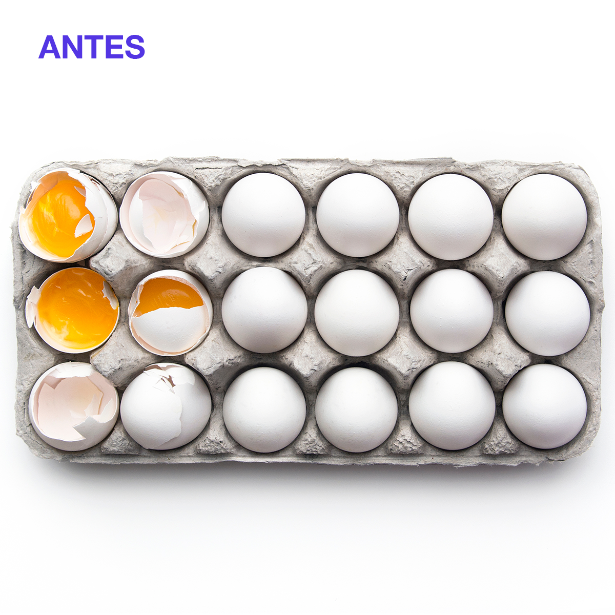 Doble Caja Protectora de Huevos